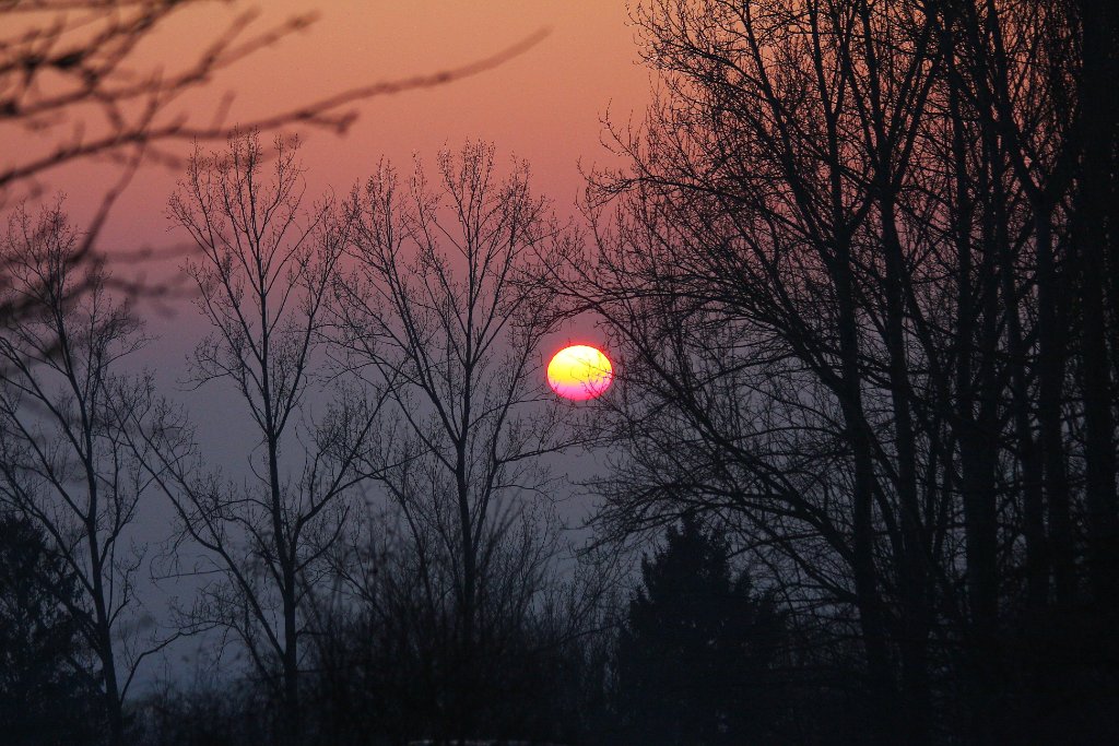 Sonnenuntergang 11.01.2009 13.jpg
